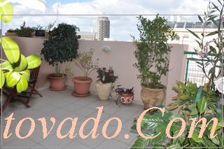 The Terrace