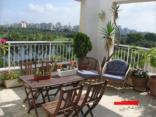 The Roof terrace 