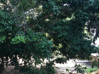 Central and quiet,'Katzenelson Itzhak' street - Near Dubnov Park & Opera House-  Tel Aviv Center