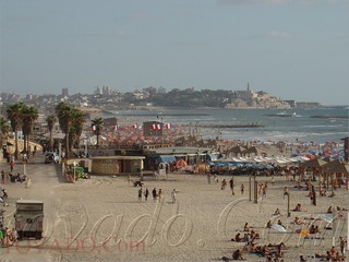 Tel aviv / the sea quater - Le quater de la mer